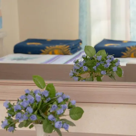 홈스테이 Zielona Okiennica Chillout